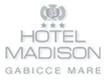 Hotel Medison